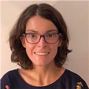 Offro supporto compiti a bambini e ragazzi dalle scuole elementari alle scuole medie